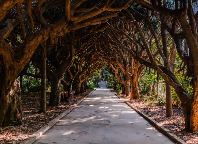 哈瑪花園 Jardin d'Essai du Hamma