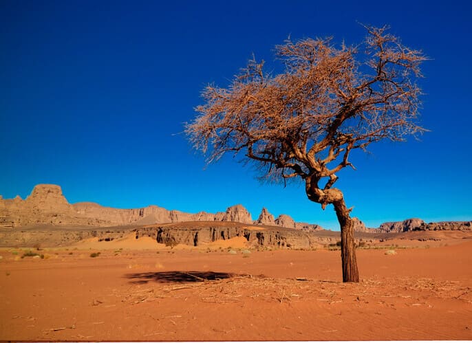 塔西里奈加國家公園 Tassili N’Ajjer