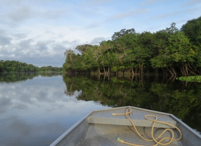 亞馬遜河流域