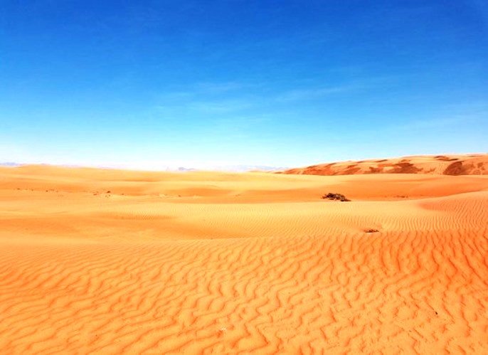 瓦希巴沙漠WAHIBA SANDS